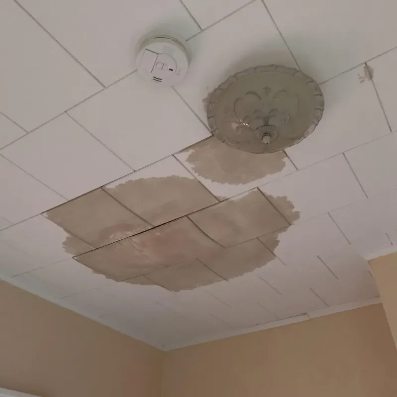 Ceiling Water Damage Repair in Kilgore, TX