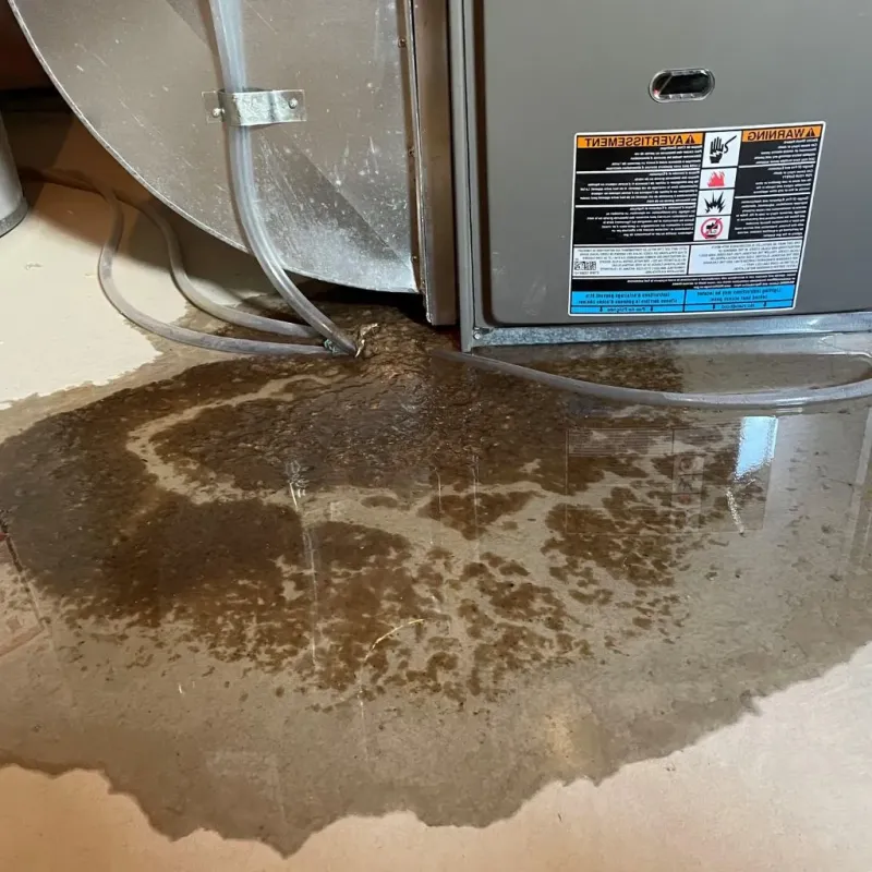 Pipe Burst and Leak Restoration in Kilgore, TX